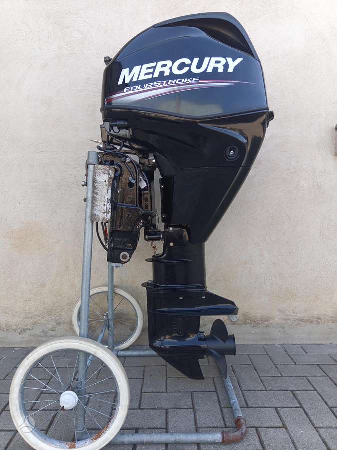 Mercury 25 EFI L, Четырехтактные подвесные