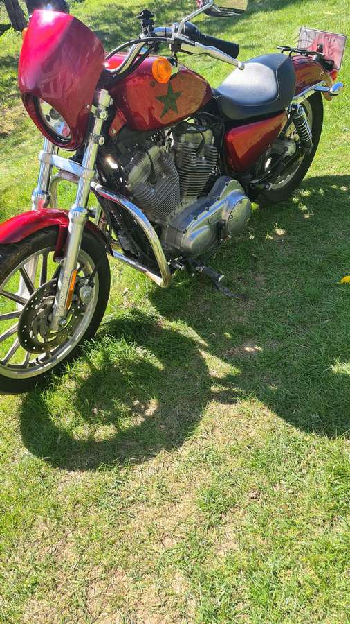 Harley-Davidson 883, choppers / cruisers / custom