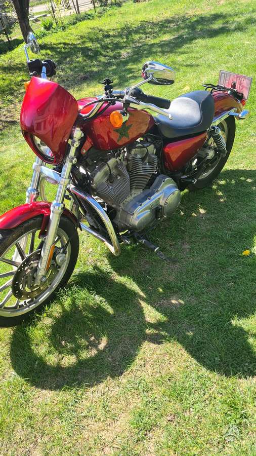 Harley-Davidson 883, choppers / cruisers / custom
