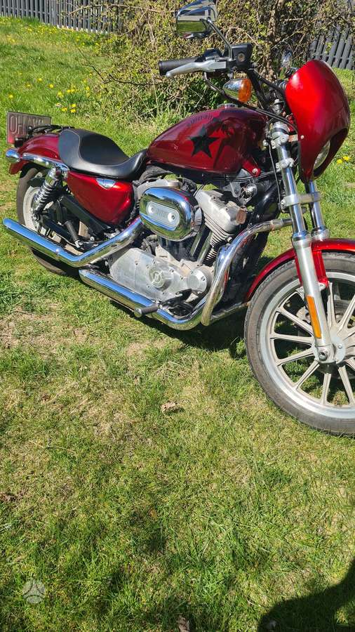 Harley-Davidson 883, choppers