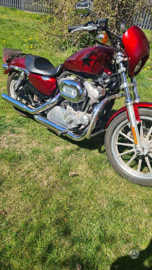 Harley-Davidson 883, choppers / cruisers / custom