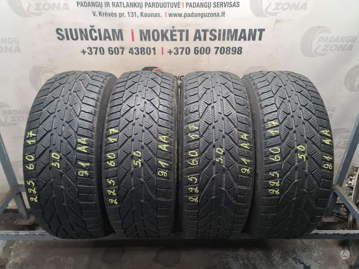 Taurus Winter, winter 225/60 R17