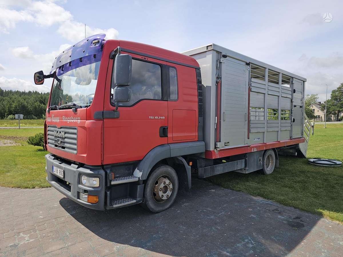 MAN TGL 10.240, gyvulių pervežimo