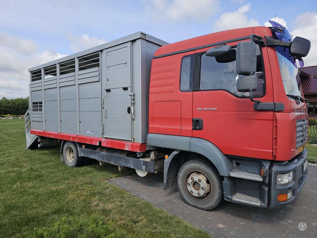 MAN TGL 10.240, gyvulių pervežimo