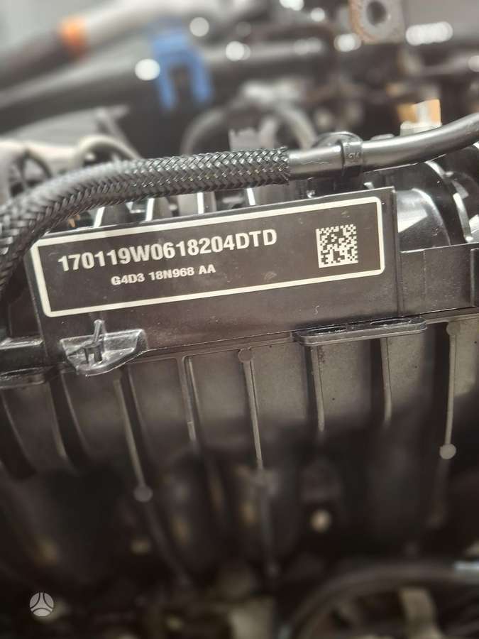 Land Rover Evoque, 204DTD, variklis
