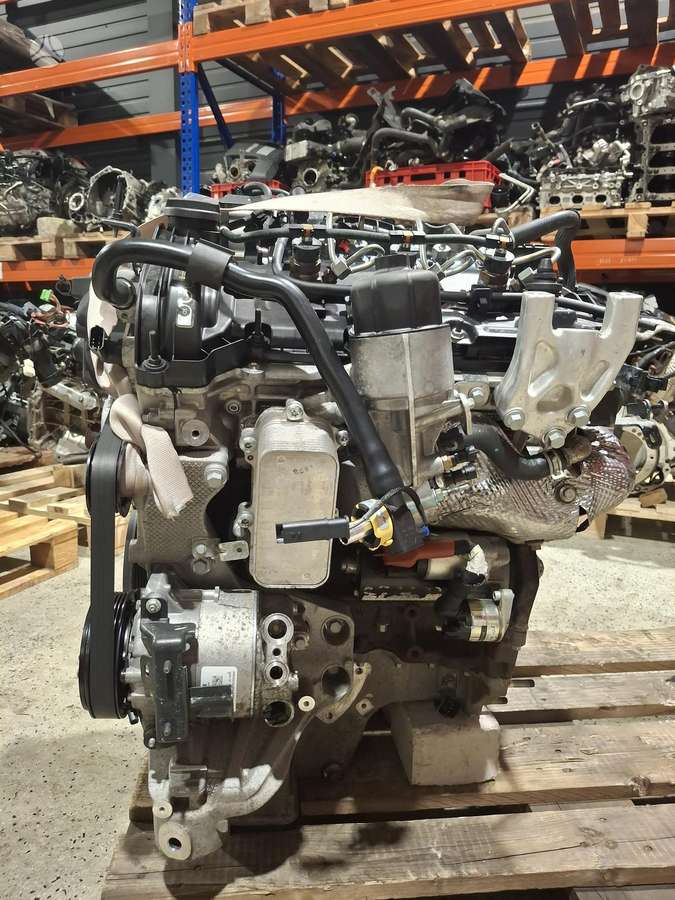 Maserati Levante, M16164D, variklis