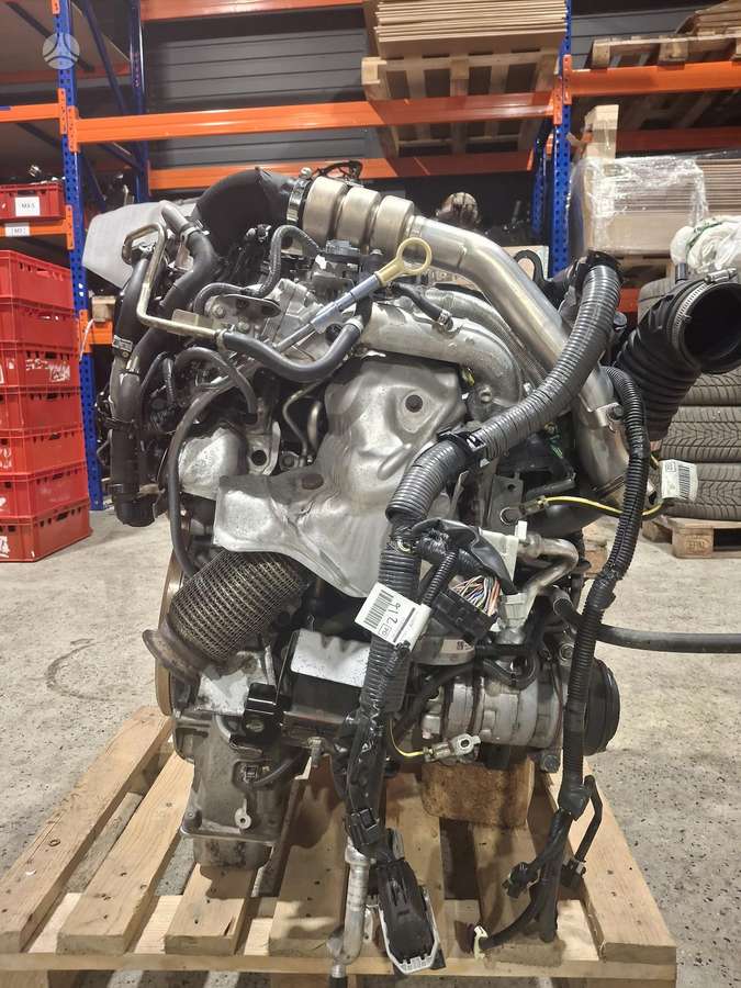 Nissan Navara, YS23DDT, engine