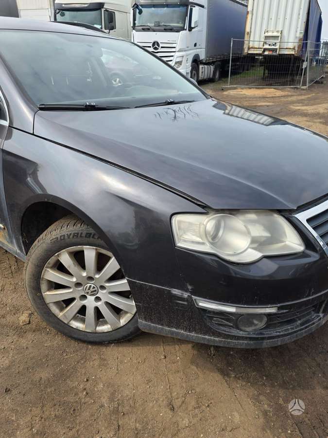Volkswagen Passat dalimis