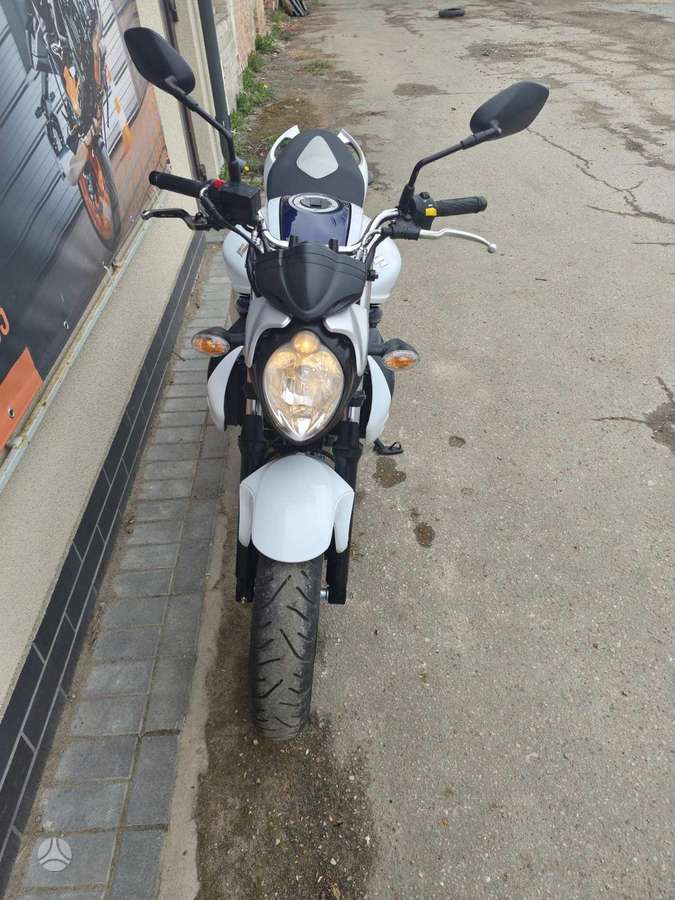 Suzuki SFV (Gladius) 650cc, street / classic