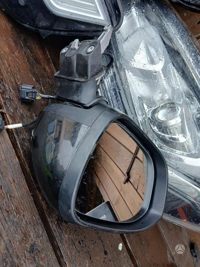 Nissan Juke mirrors