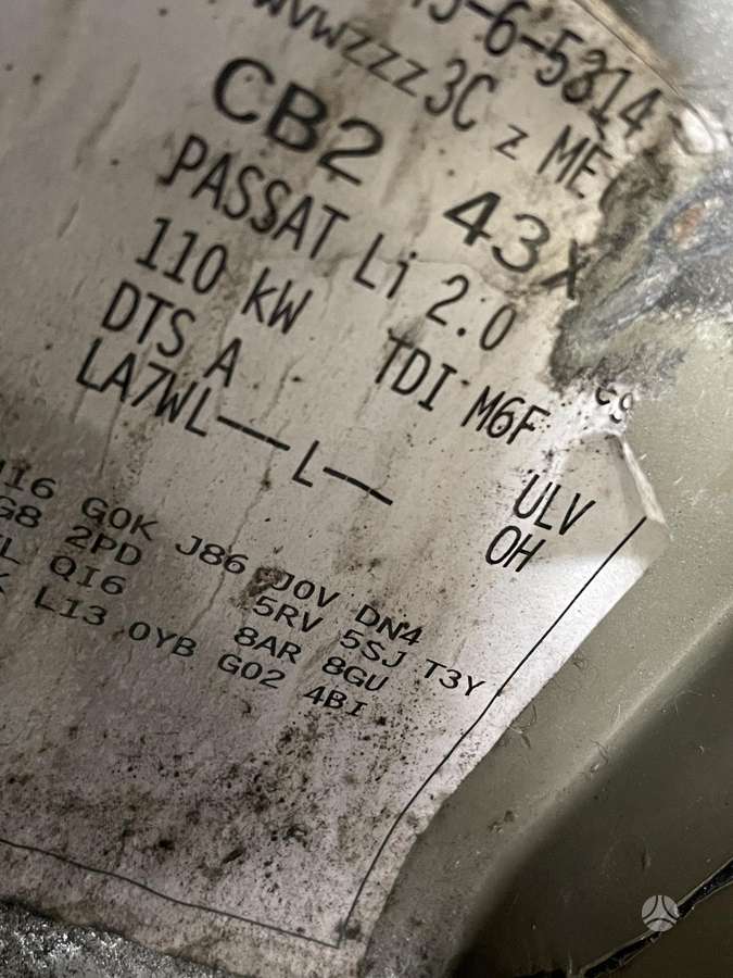 Volkswagen Passat dalimis