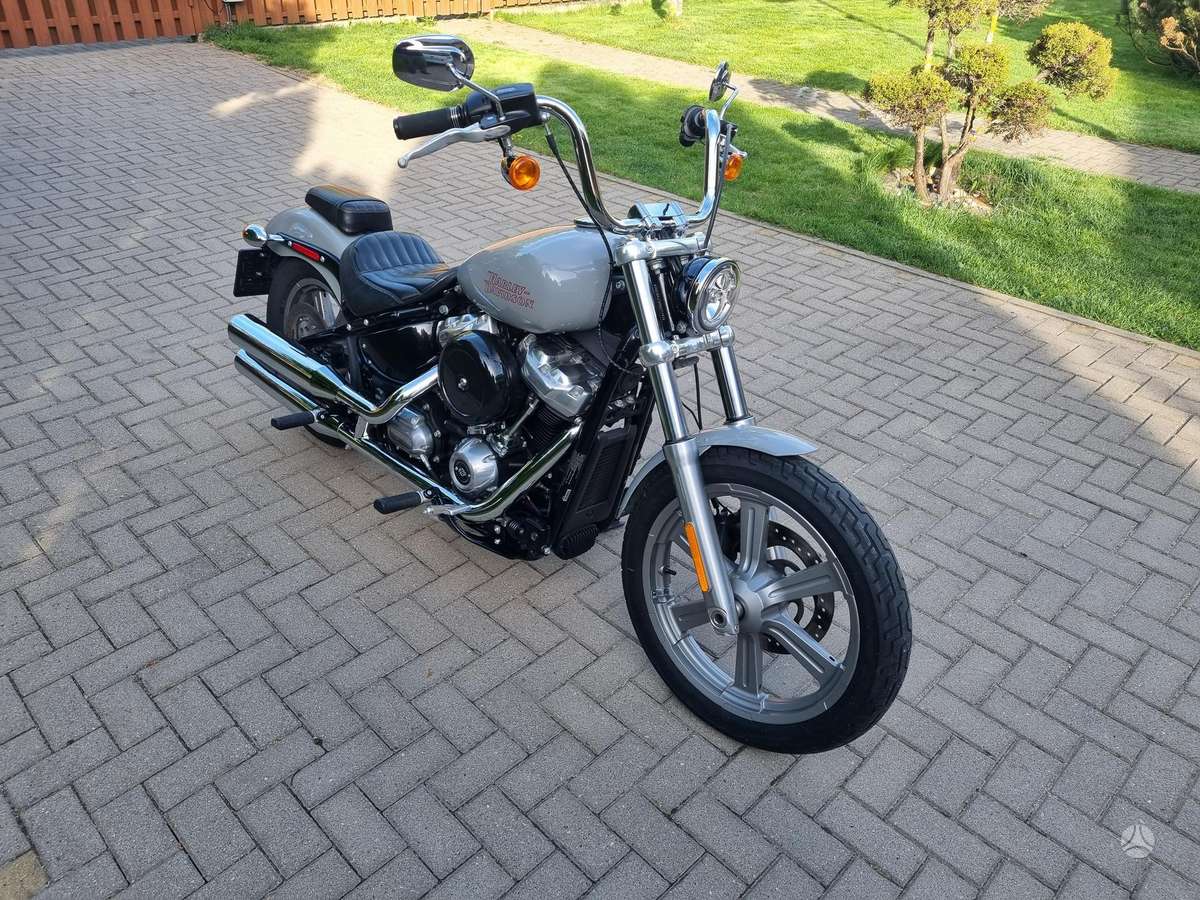 Harley-Davidson FXST 1746cc, choppers