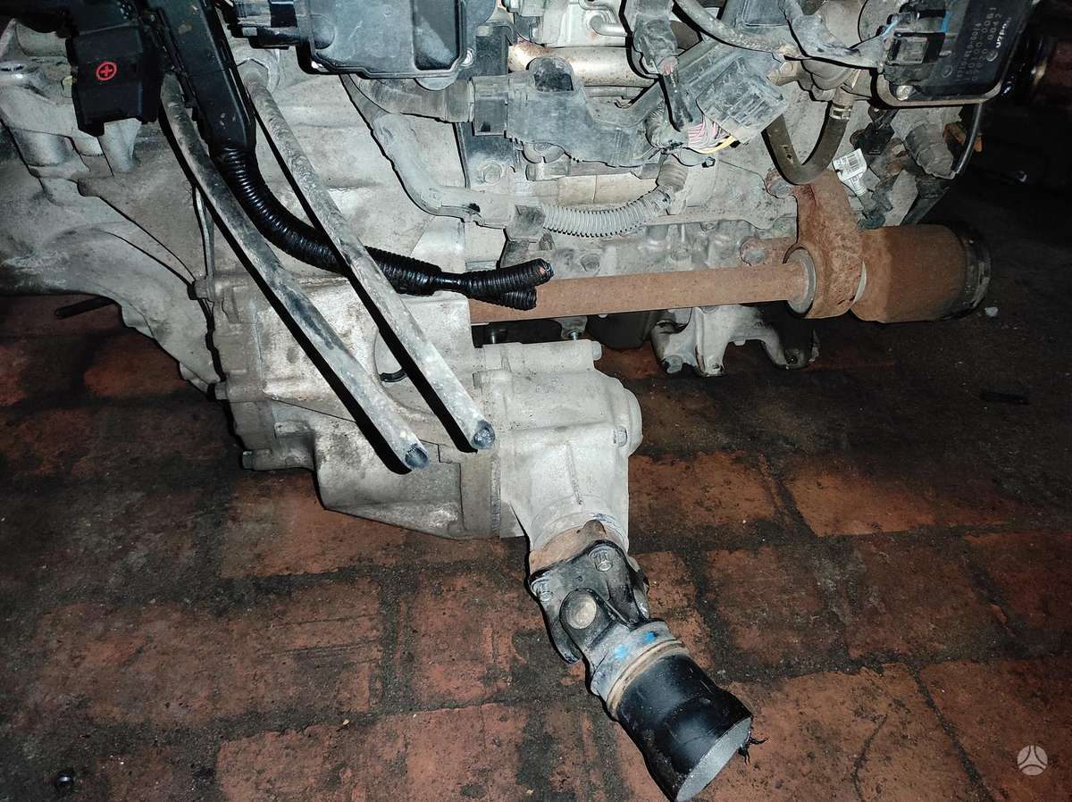 Honda CR-V Tik variklis ir deze