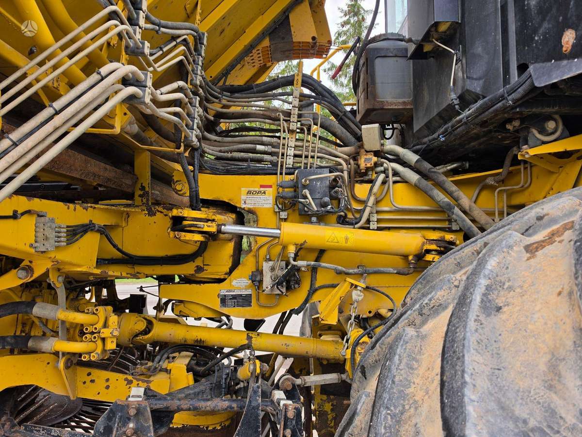 Ropa EURO TIGER V4, combine harvesters