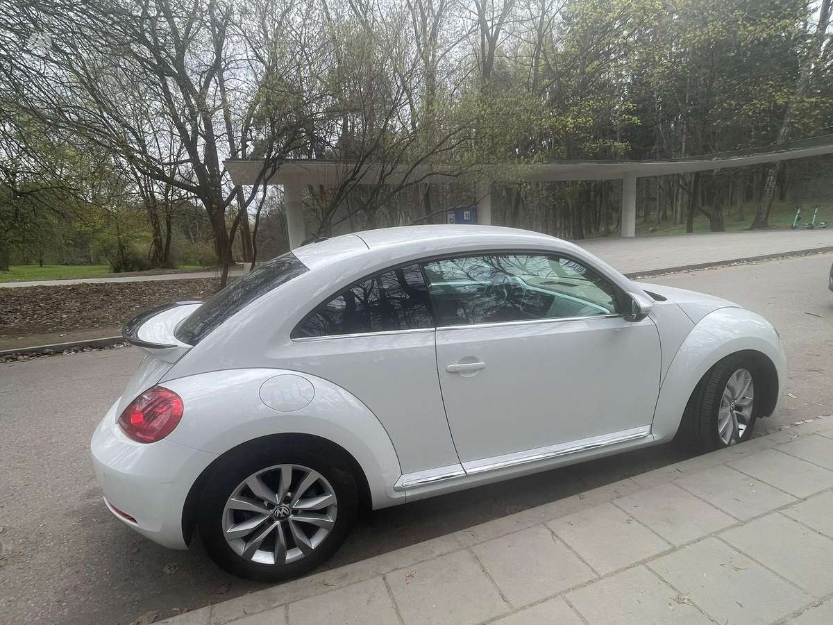 Volkswagen Beetle - 3