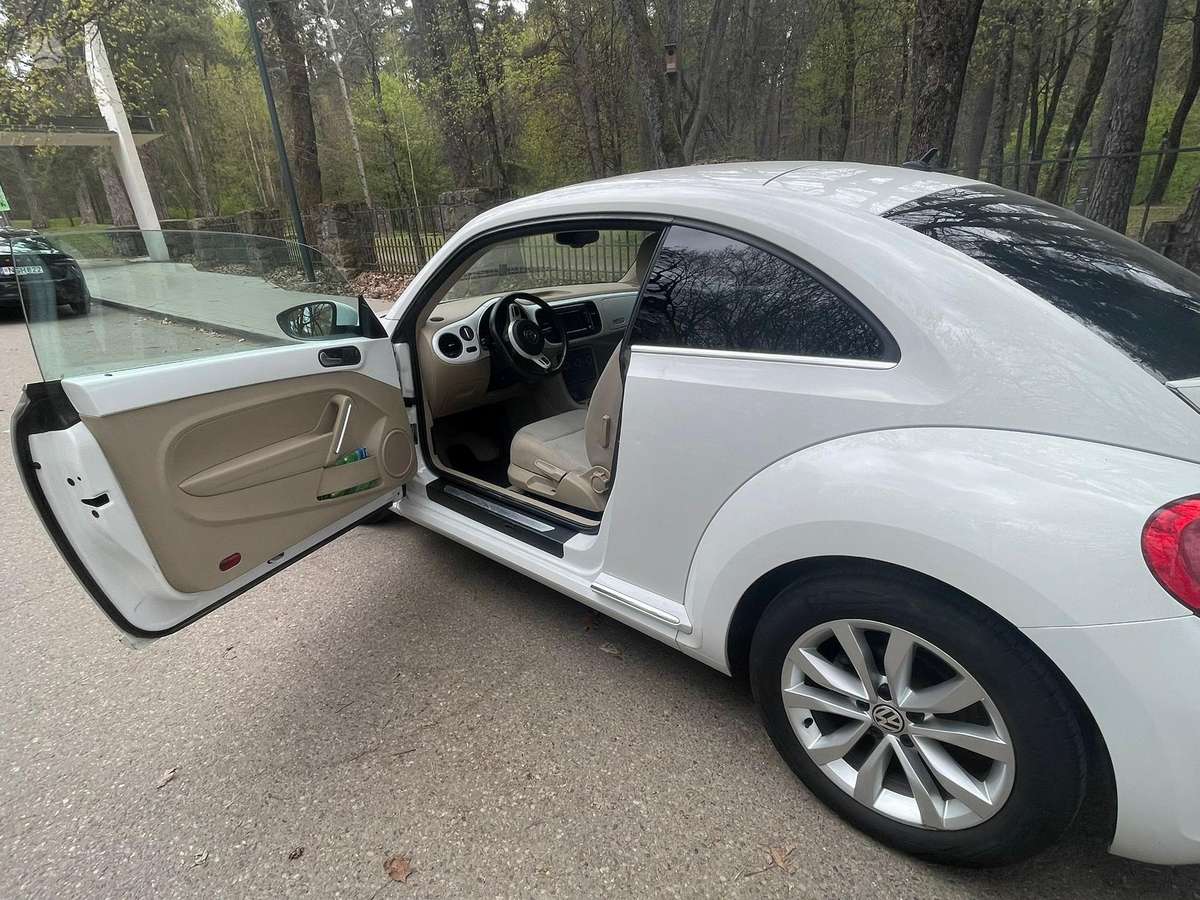 Volkswagen Beetle - 5