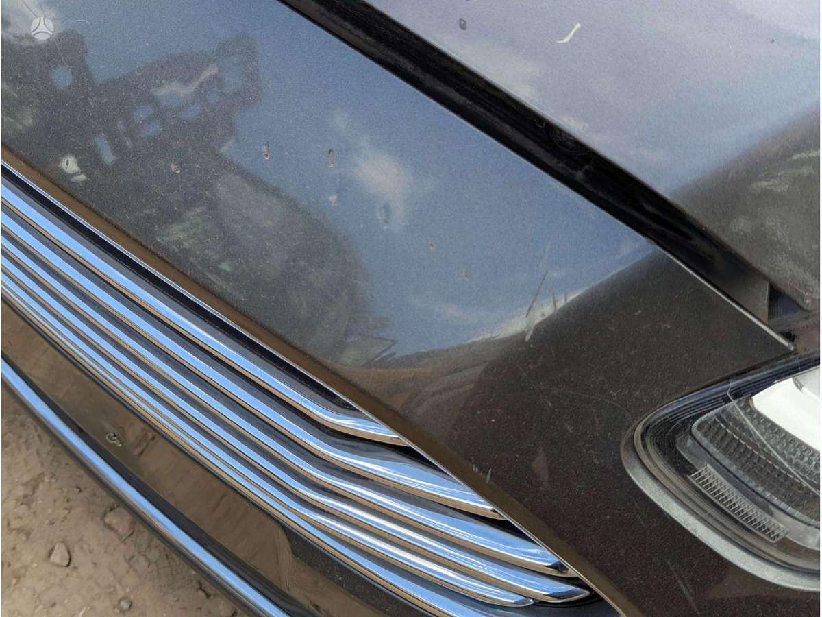 Ford S-MAX variklis