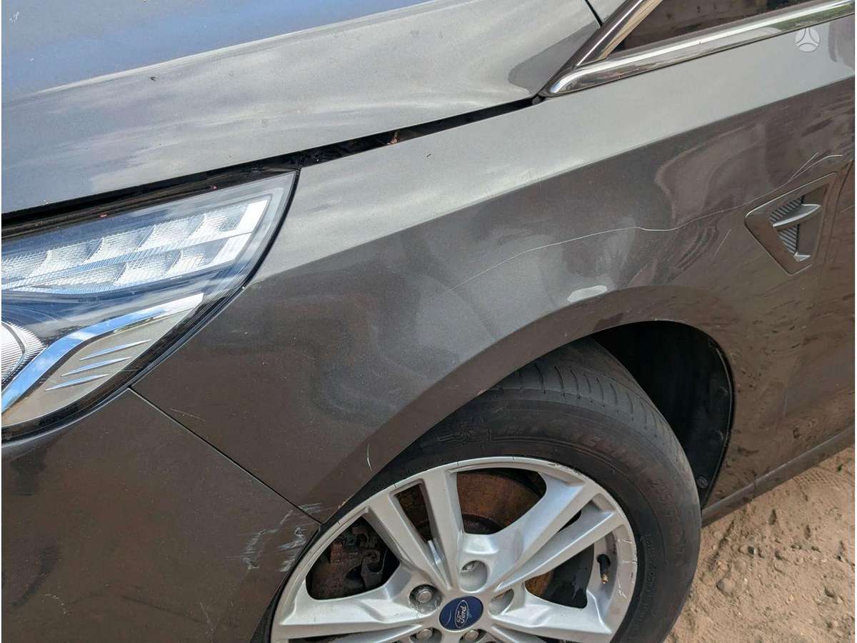 Ford S-MAX variklis