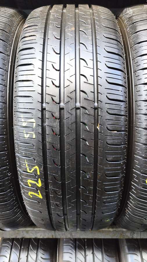 Goodyear Efficient Grip, summer 225/55 R19