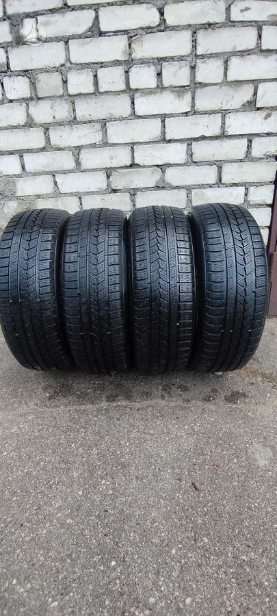 Nexen Winguard Sport, universalios 215/60 R17