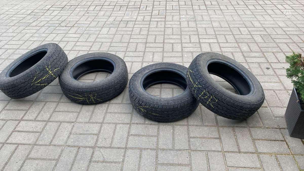 Toyo Open county, universalios 225/65 R17