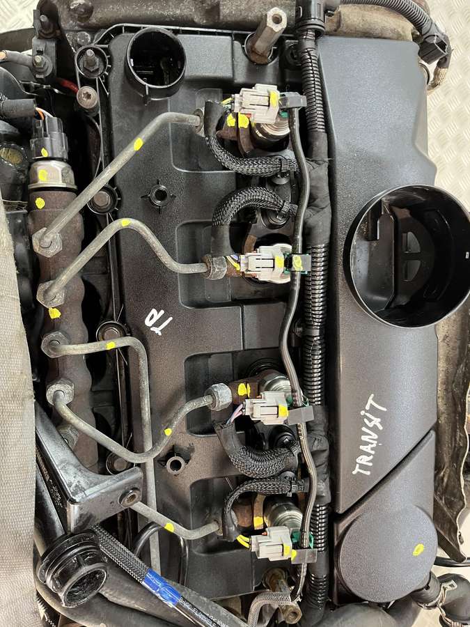 Ford Transit variklis