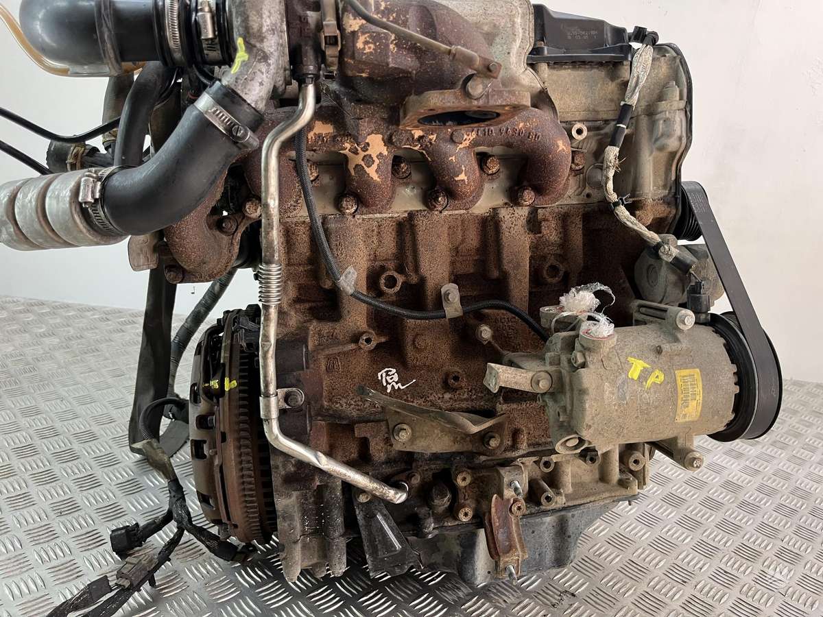 Ford Transit variklis