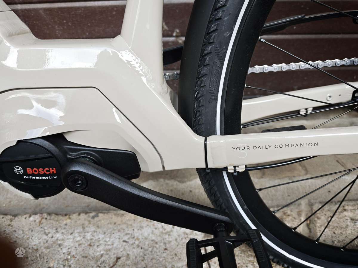 Electric bike E-bike 29″