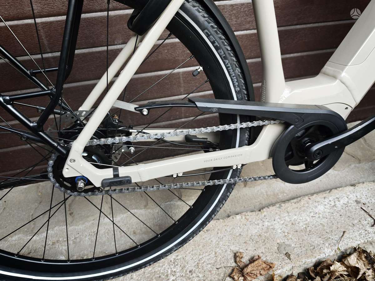 Electric bike E-bike 29″