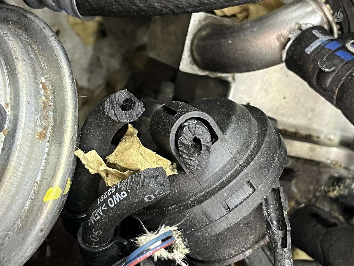 Audi A6, BPP, engine