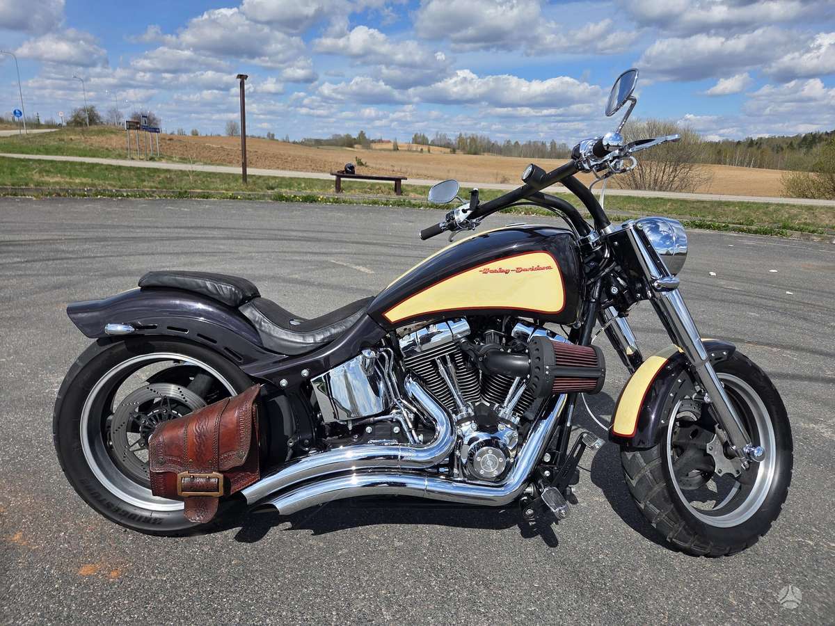 Harley-Davidson FLSTC 1584cc, choppers / cruisers / custom