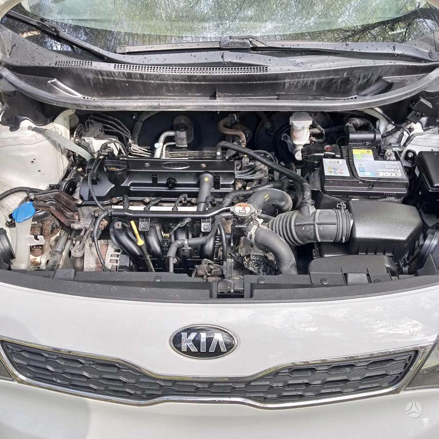 Kia Rio, 1.3 l., hatchback