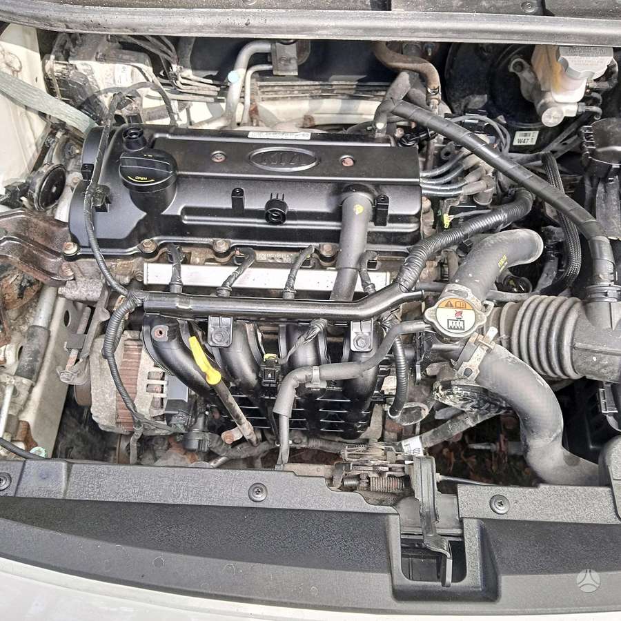 Kia Rio, 1.3 l., hatchback