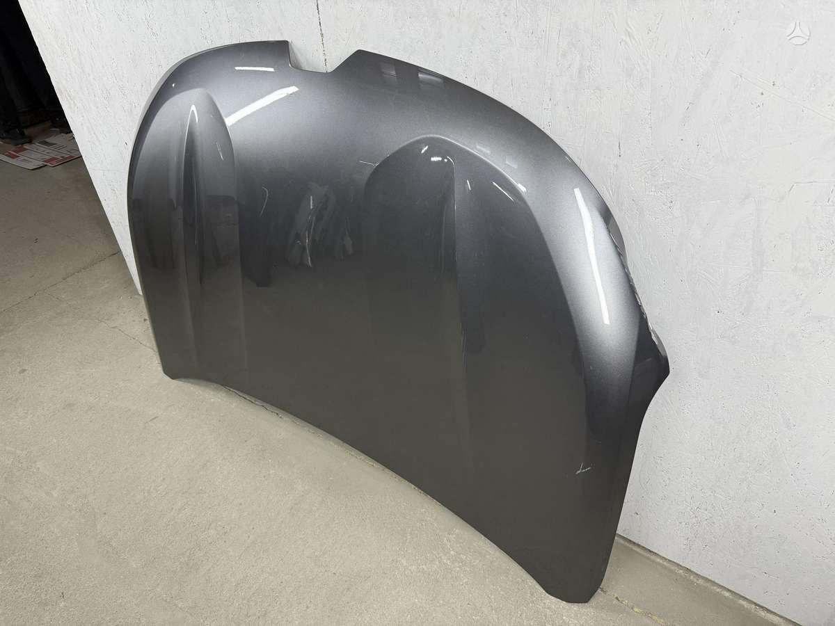Renault Austral, 651223636R, hood (front, rear)
