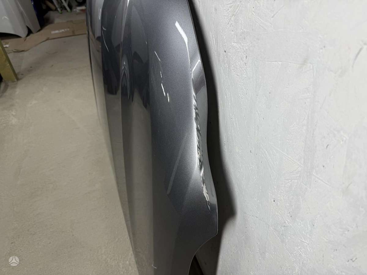 Renault Austral, 651223636R, hood (front, rear)