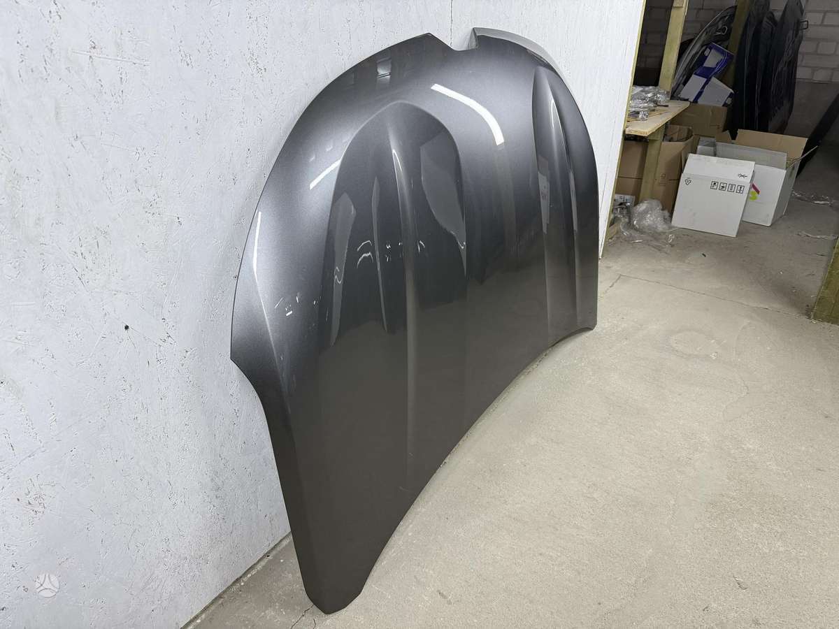 Renault Austral, 651223636R, hood (front, rear)