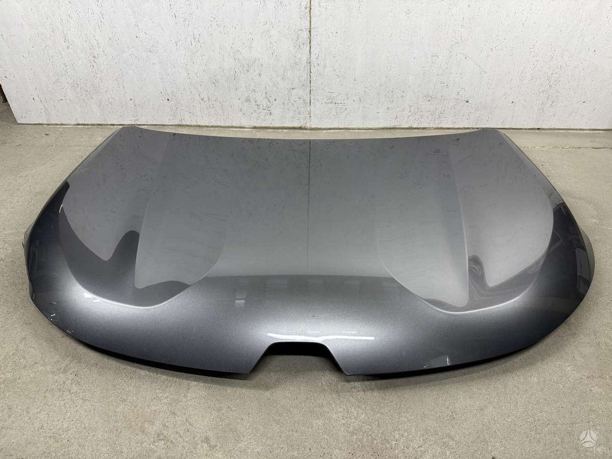 Renault Austral, 651223636R, hood (front, rear)