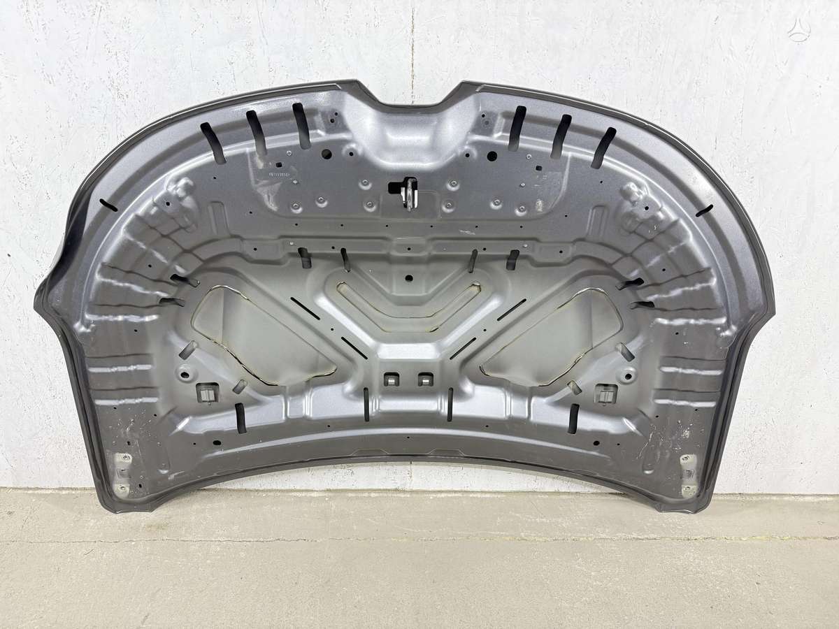 Renault Austral, 651223636R, hood (front, rear)
