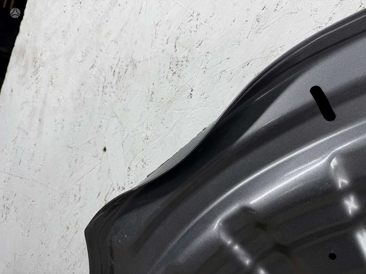 Renault Austral, 651223636R, hood (front, rear)