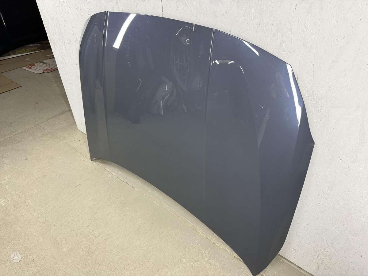 BMW 1 serija hood (front, rear)