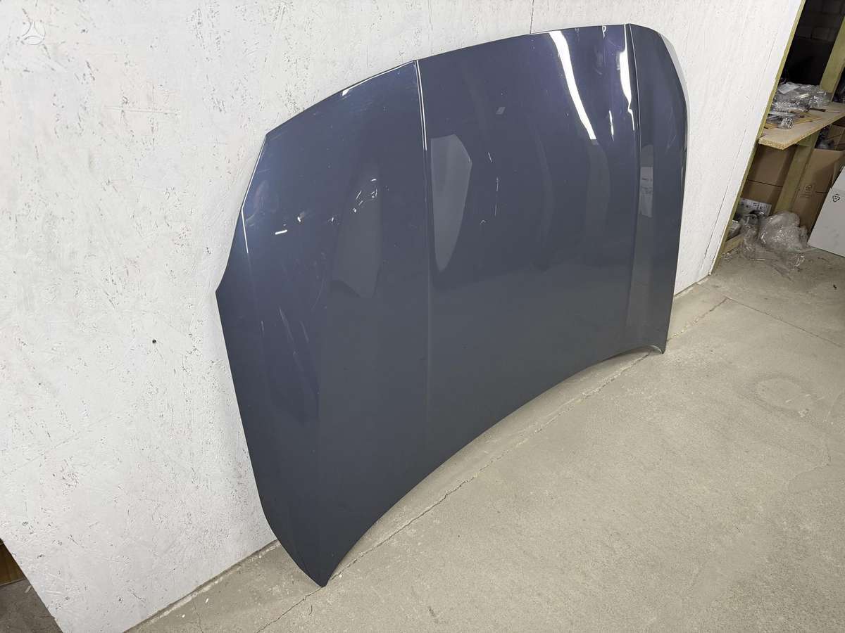 BMW 1 serija hood (front, rear)