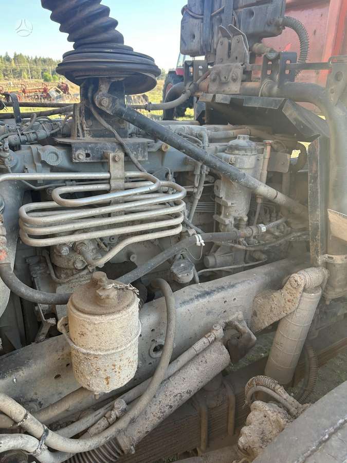 MAZ 5555, sunkvežimiai