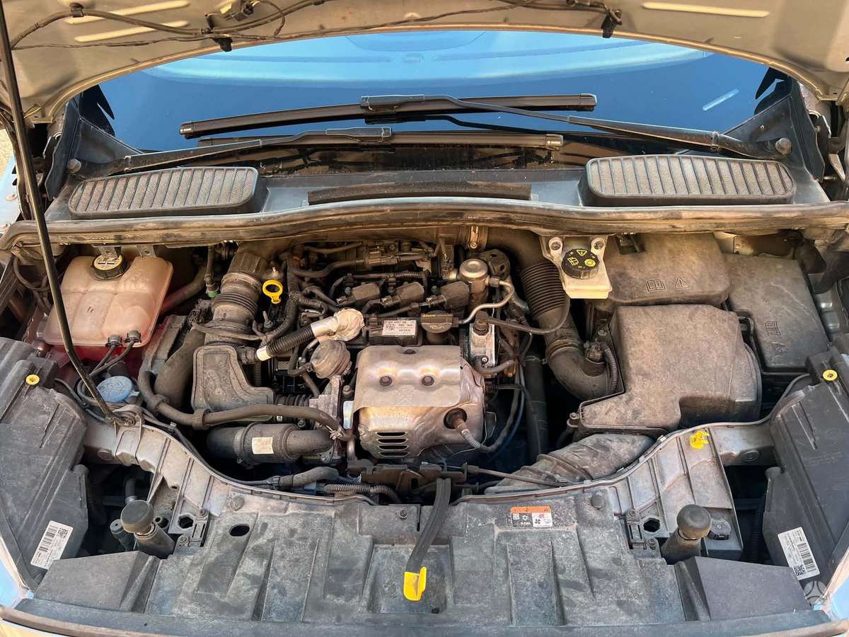 Ford C-MAX, 1.0 l., Минивэн