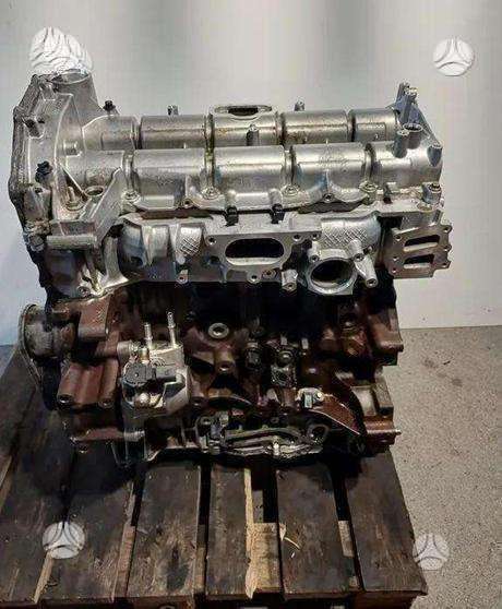 Ford C-MAX, BCCC, variklis
