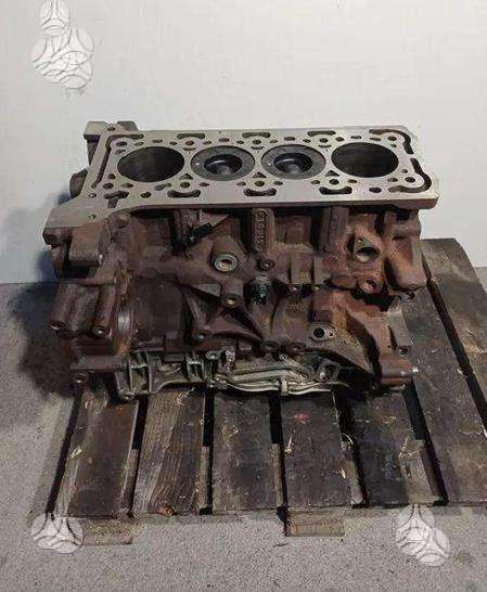 Ford Focus, BCCC, variklis