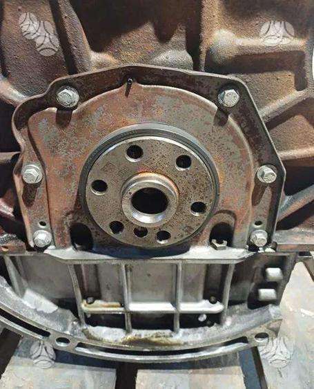 Ford Focus, M1DD, variklis