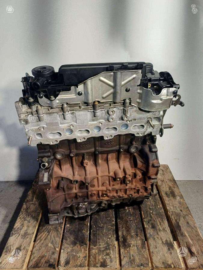 Ford Mondeo, 10DYZG, variklis