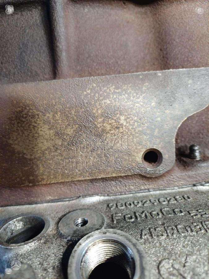 Ford Mondeo, 10DYZG, variklis