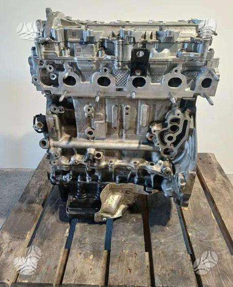 Ford Transit, ZDGA, двигатель