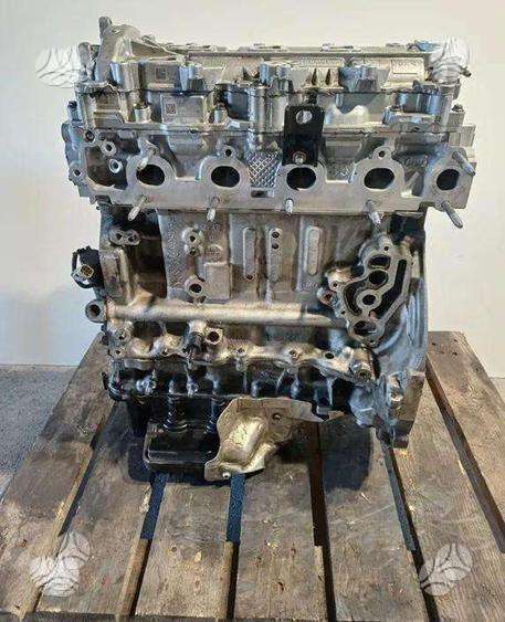 Ford Transit, ZDGA, variklis
